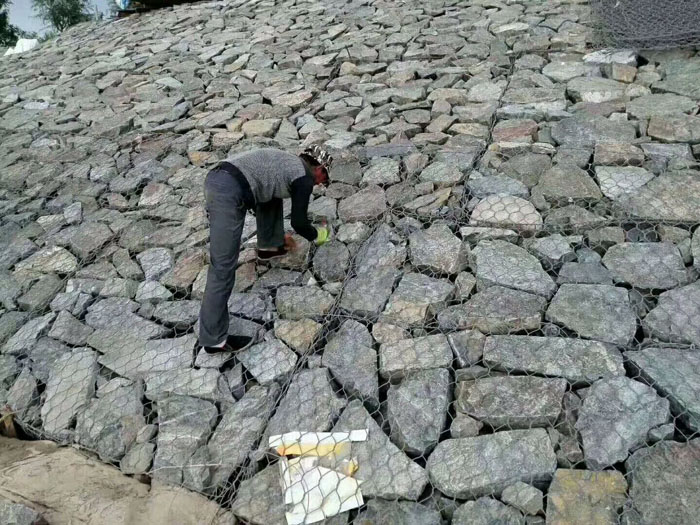 1558589311976012.jpg 微信圖片_20190523132727.jpg